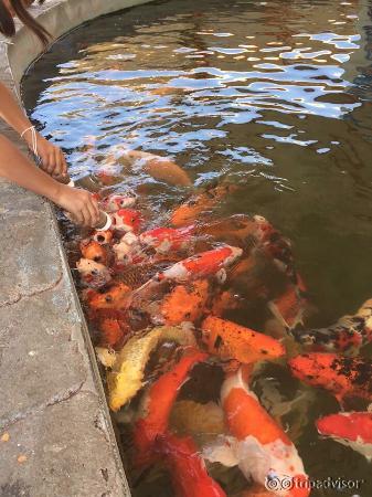 photo2.jpg