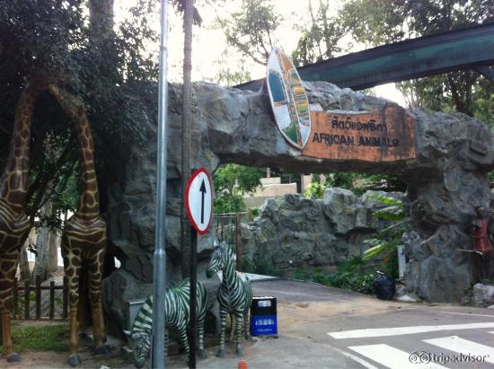Zone afrique