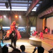 Cultural show staring elephants, dancers, drummers & martial arts