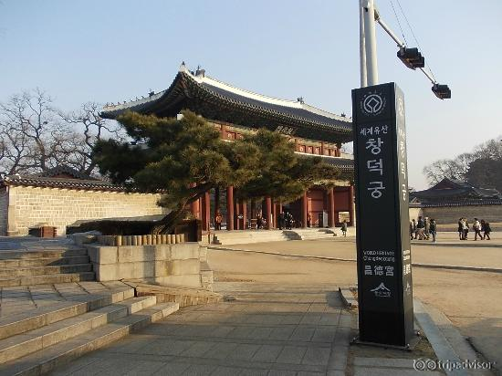 古びた感じが良い