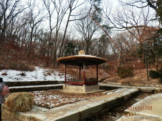 帝が疑似田植えをした場所