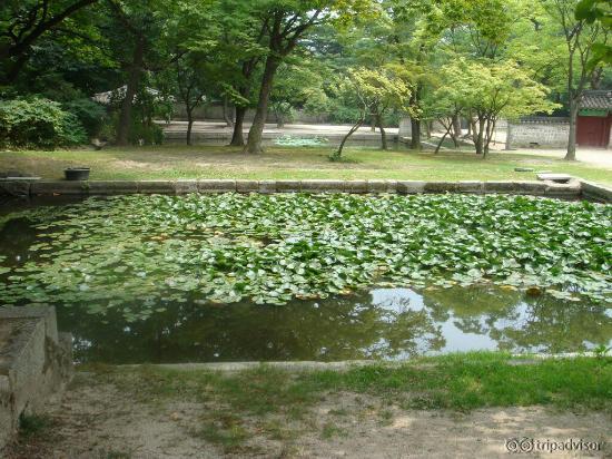 Дворец Чангдеокгунг