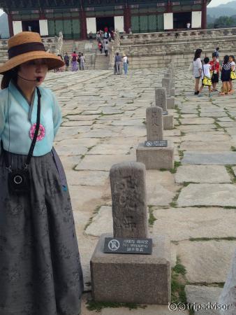 那里提供的导游