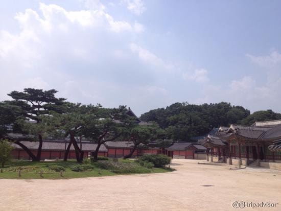 พระราชวังชางด๊อก