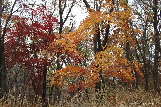 The late autumn view of secret garden