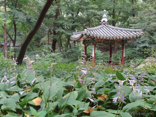 季節の花と東屋