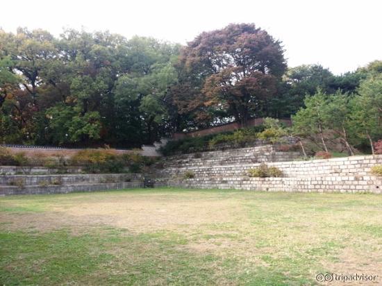 ร่มรื่นและมีพื้นที่มาก