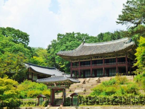 シークレットガーデン