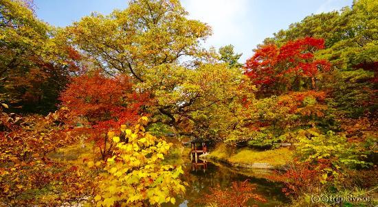 シークレットガーデン