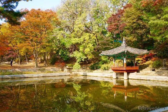 シークレットガーデン