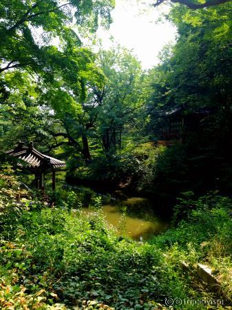 昌德宫里的一方净土