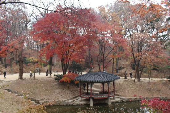 The late autumn view of secret garden