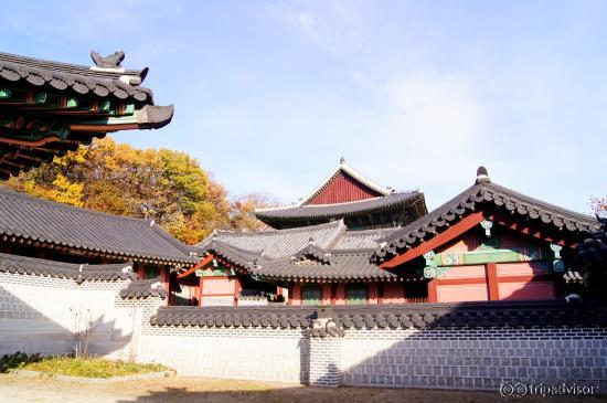 ชางด็อกคุง