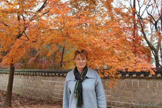 Our member in front of maple trees