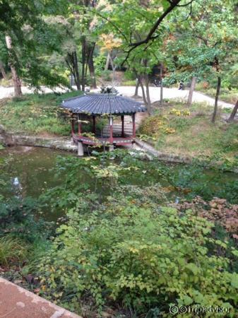 屋根が扇型の美しさ。