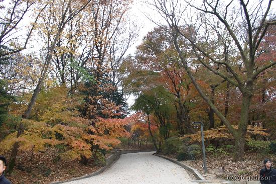 The late autumn view of secret garden