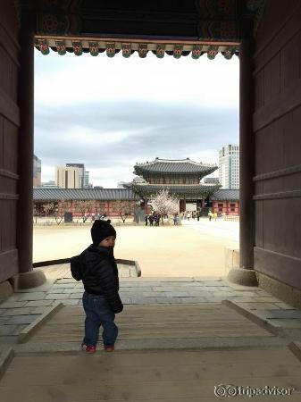 ตามผมมาครับ