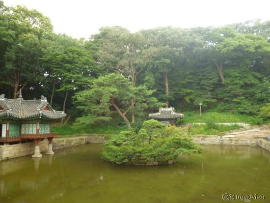 В секретном саду Пивон