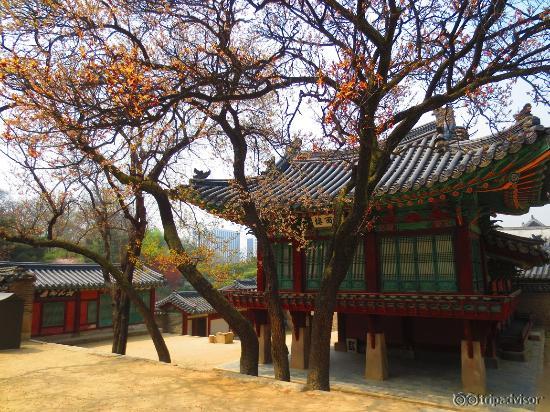 Changdeokgung, April 2014