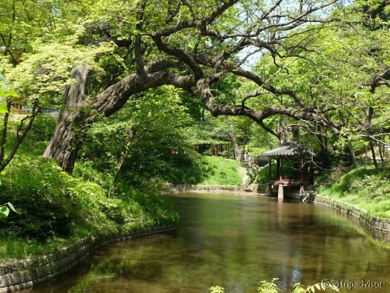 Changdeokgung, May 2015