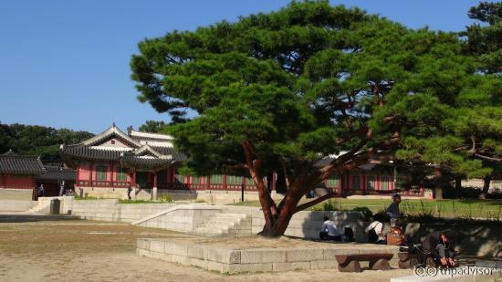 Palace grounds