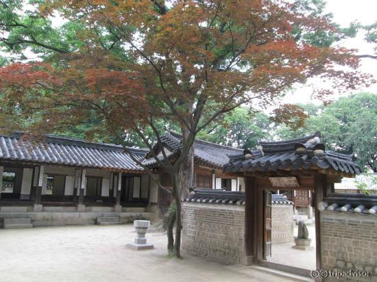 Towards the end of the Secret Garden Tour