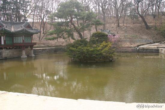 pond in secret garden