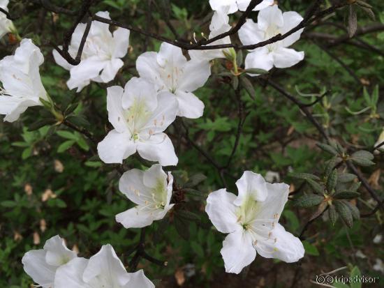 Changdeokgung Palace