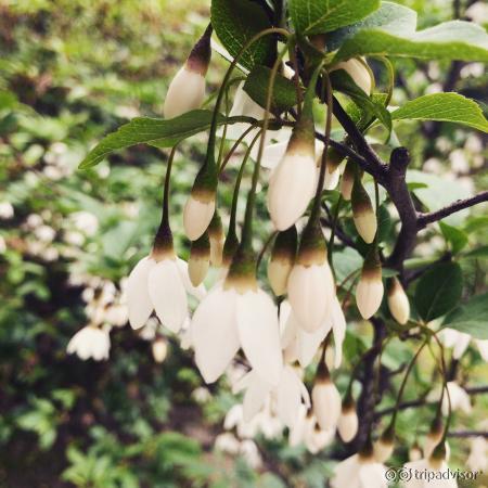 Changdeokgung Palace