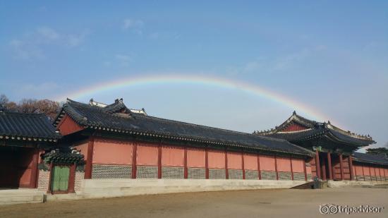 Rainbow after the rain~~~