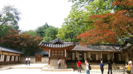 Changdeok-gung - Secret Garden