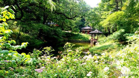 Changdeok-gung - Secret Garden