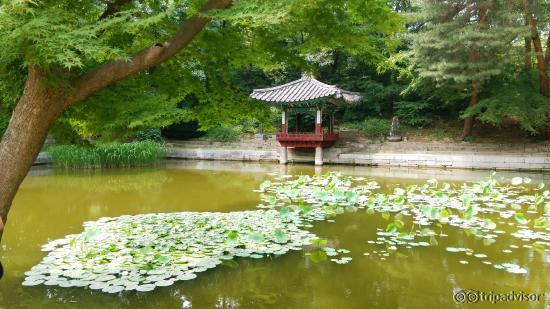 Changdeok-gung - Secret Garden