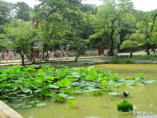 Changdeokgung Palace