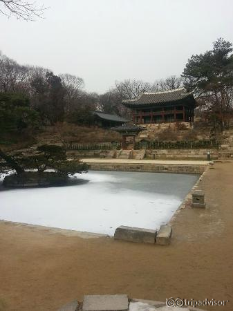 inside secret garden