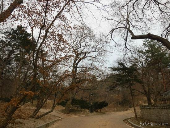 inside secret garden