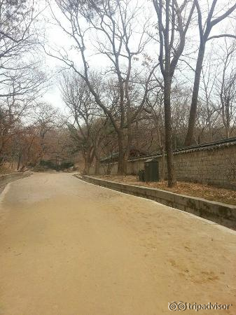 inside secret garden, the nice and tranquil pathway