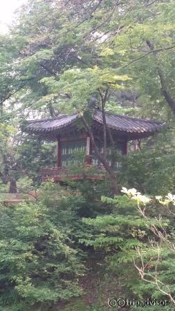 one of the various Crown Prince spots