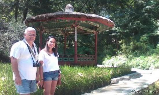 a resting place in the secret garden