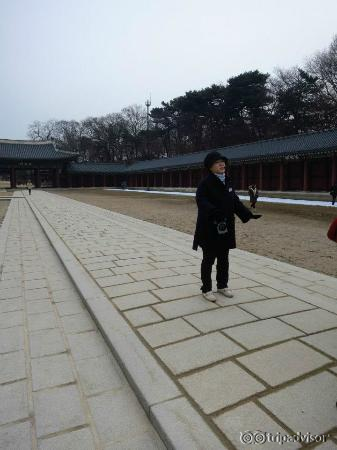 our tour guide for the palace