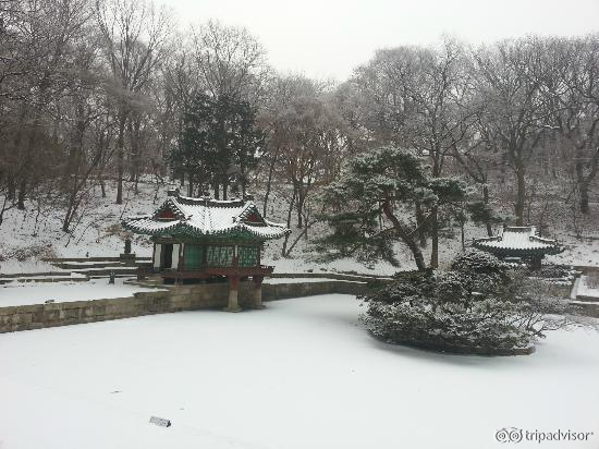 Snowing stop after 30mins