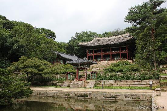 Secret Garden Tour Changdeokgung Palace