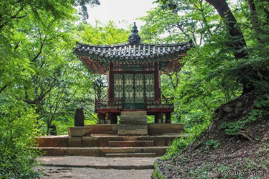 Secret Garden Tour Changdeokgung Palace
