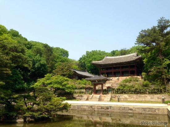 the view of the library in the secret garden
