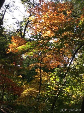 Beautiful autumn colors