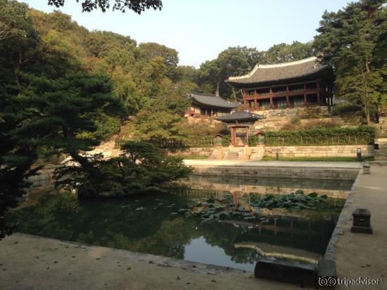 Changdeokgung Palace Secret Garden