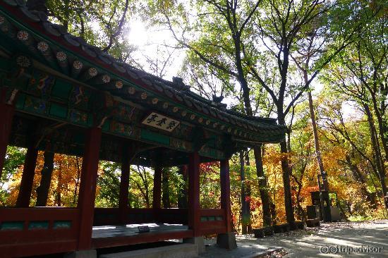 Beautiful secret garden of Changdeokgung
