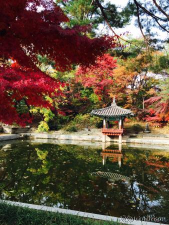 pond at secret garden