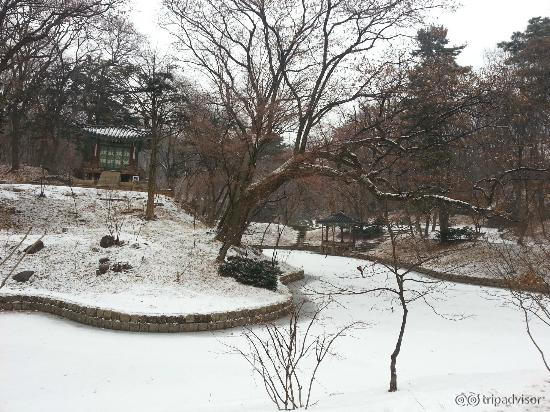 Inside Secret Garden