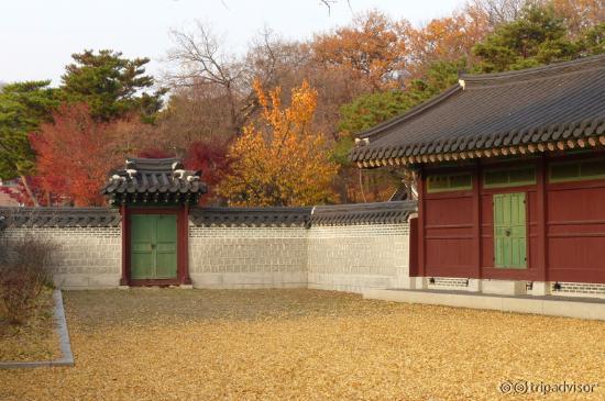 Changdeokgung Palace (1)